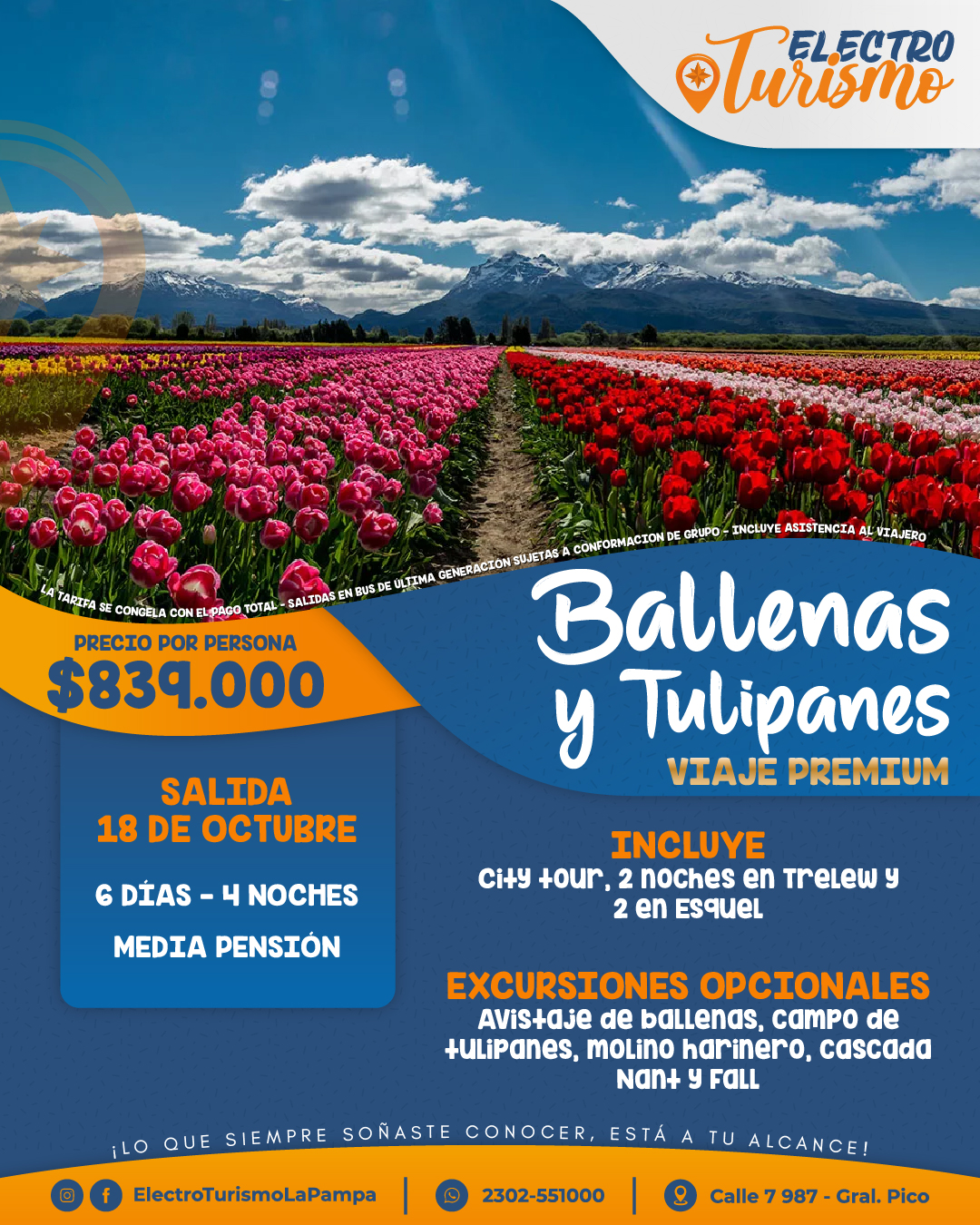 Flyer de Ballenas y Tulipanes